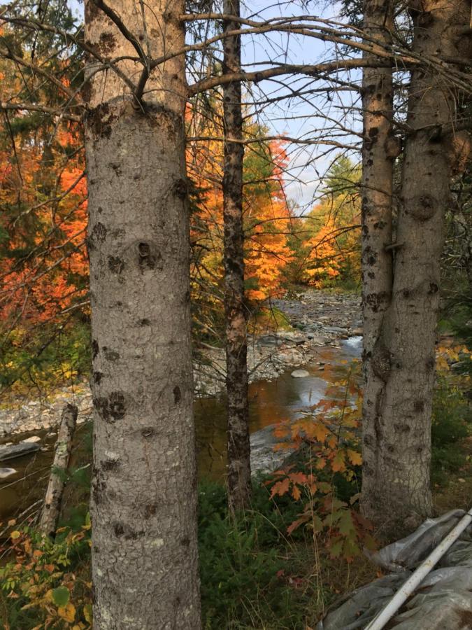 By The River 2*